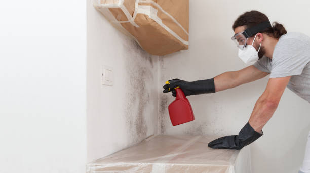Professional Crawl Space Mold Remediation technician working in Hempstead, NY